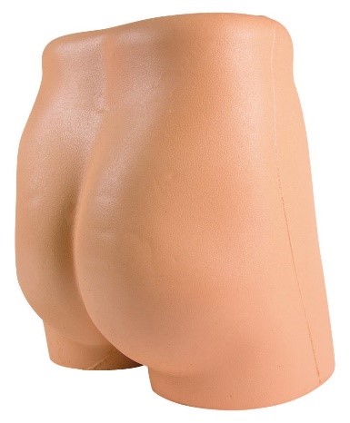 Simulator for i.m. injection and punch biopsy of the iliac crest