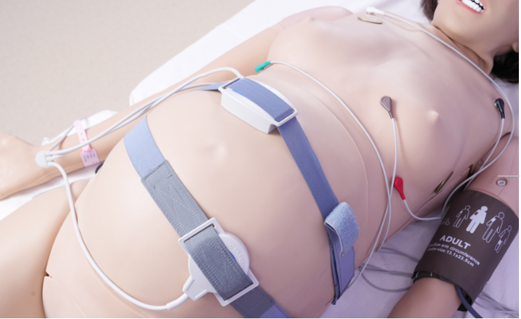 The Birthing Simulator