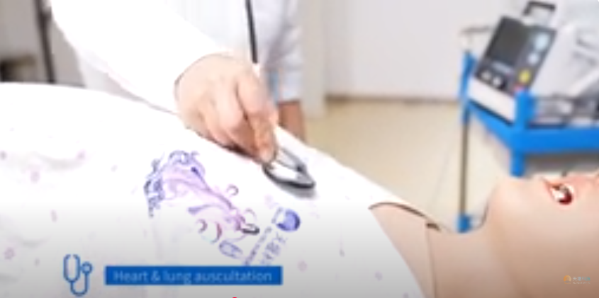 The Birthing Simulator