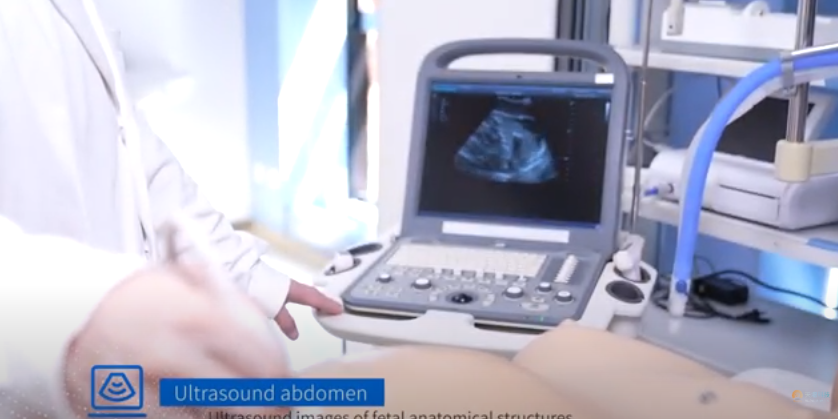 The Birthing Simulator
