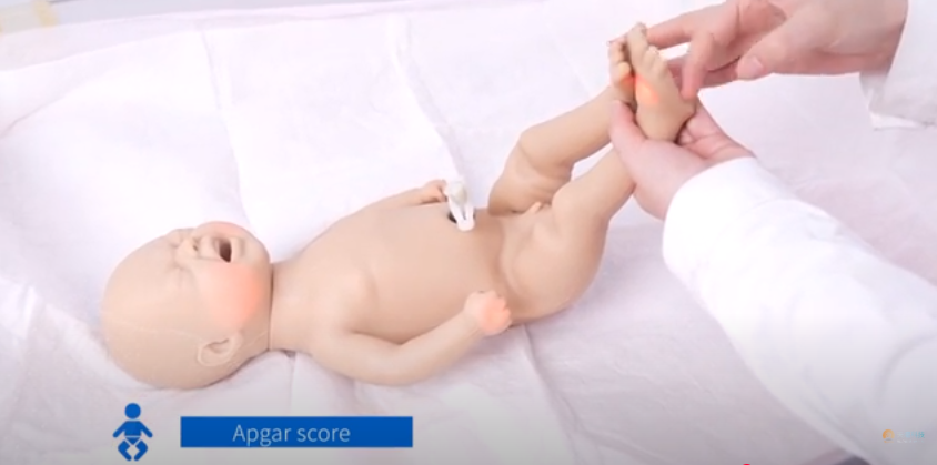 The Birthing Simulator