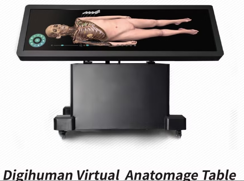 Hệ thống bàn giải phẫu 3D dùng cho trường đại học