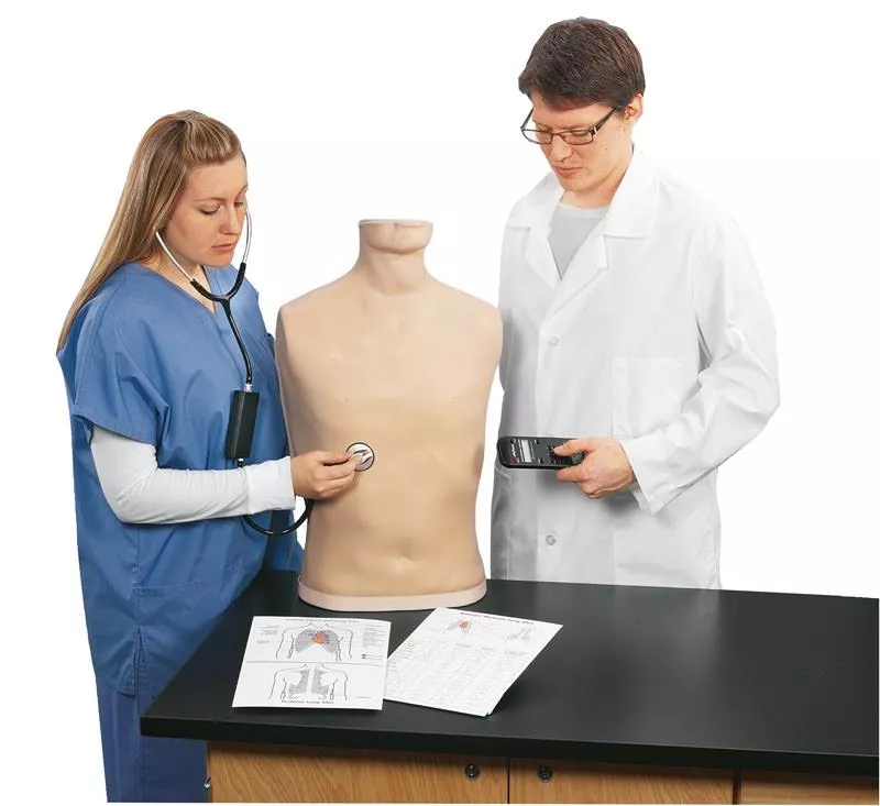 Auscultation Simulator