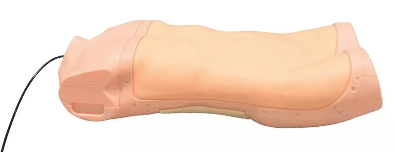 Abdominal Examination Simulator