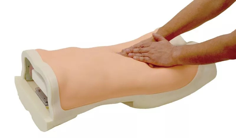 Abdominal Examination Simulator