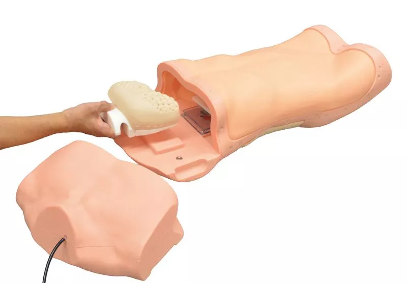 Abdominal Examination Simulator