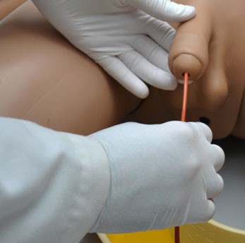 Nursing Care Patient Simulator with Ostomy