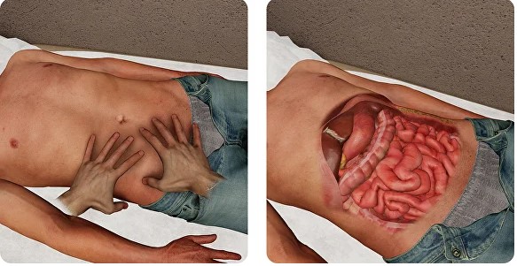ABDOMINAL PALPATION TRAINER