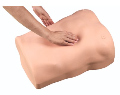 ABDOMINAL PALPATION TRAINER