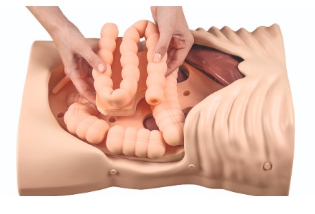 ABDOMINAL PALPATION TRAINER