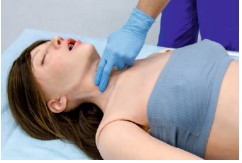 Mô hình bệnh nhân ALS/EMS nữ giới người lớn