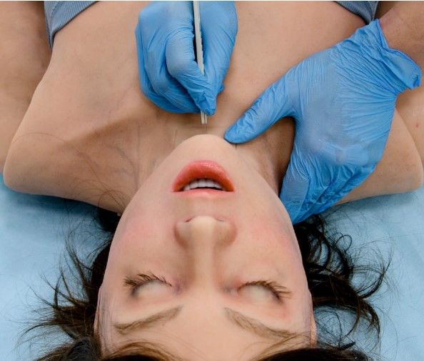 Mô hình bệnh nhân ALS/EMS nữ giới người lớn