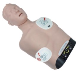 Mô hình huấn luyện CPR (bán thân người lớn Sherpa)